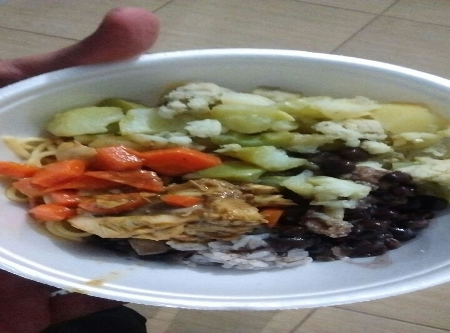 alimento_15