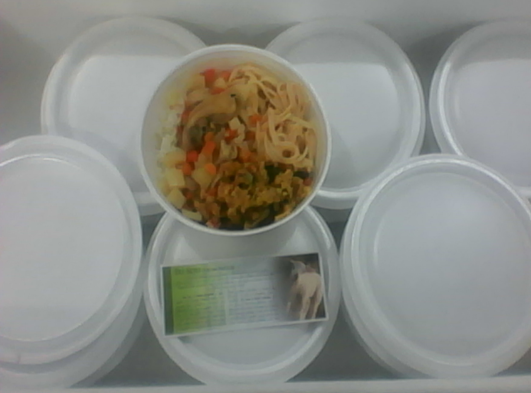 alimento_3